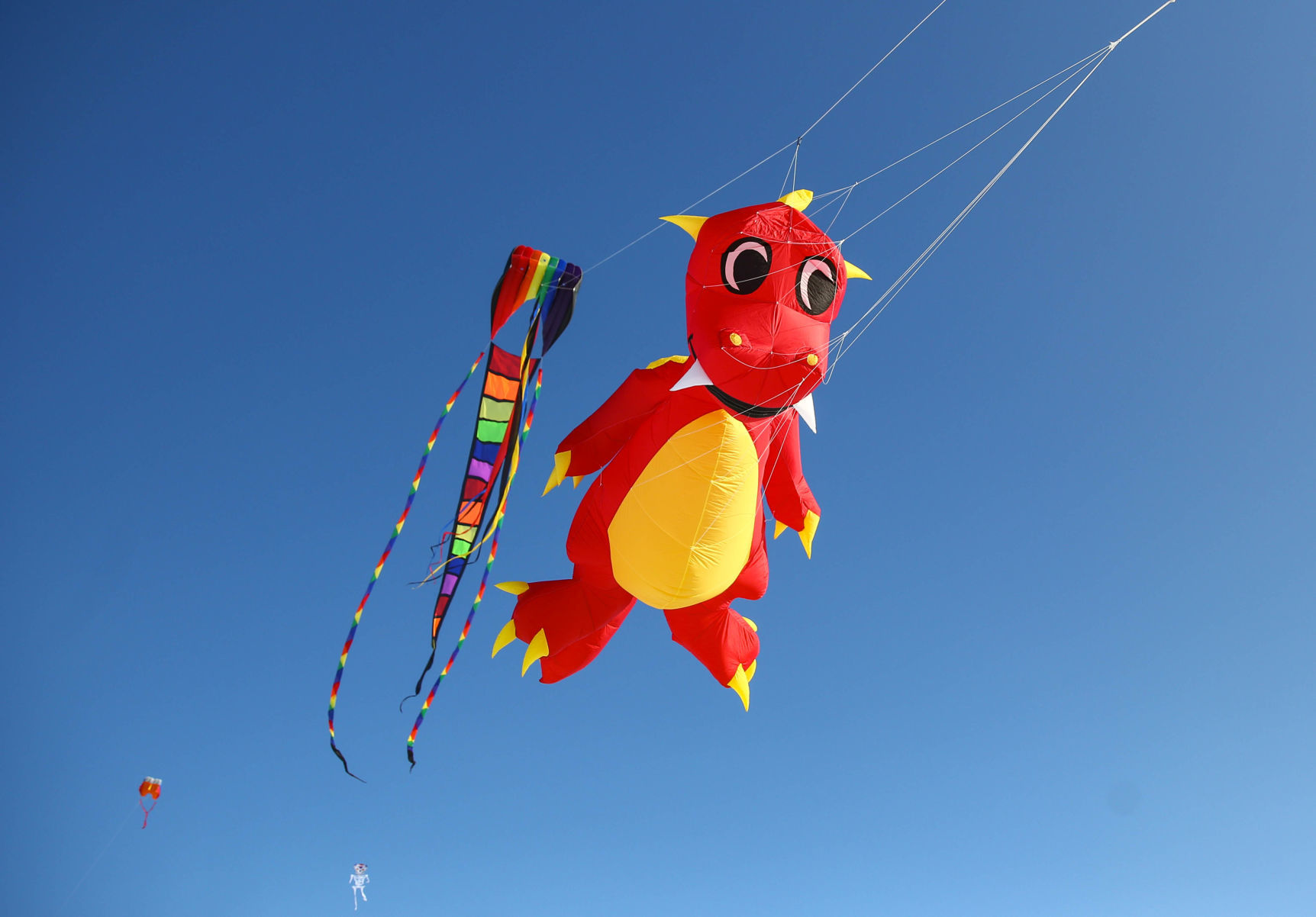 Color the Wind kite festival 02-15-2020 (50).jpg